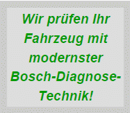 Bosch-Diagnose-Technik